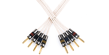 Speaker Cables & Interconnects