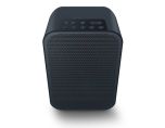 Bluesound Pulse Flex 2i Portable Wireless Multi-Room Music Streaming Speaker  - Black