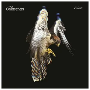 The Courteeners - the falcon