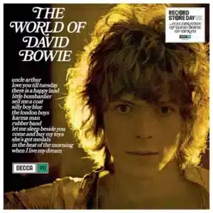 The world of david bowie