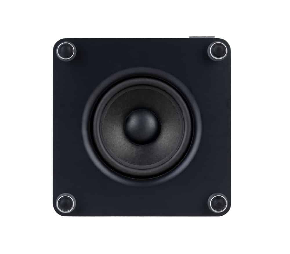 Ruark RS1 subwoofer driver