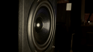 A close up photo of the inside of a black bookshelf speaker